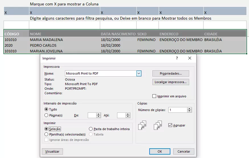 Como Personalizar Relatório Cadastro de Membros