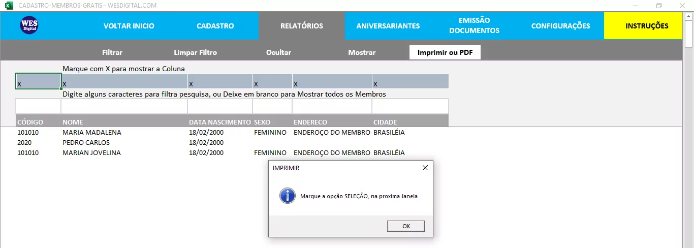 Como Personalizar Relatório Cadastro de Membros